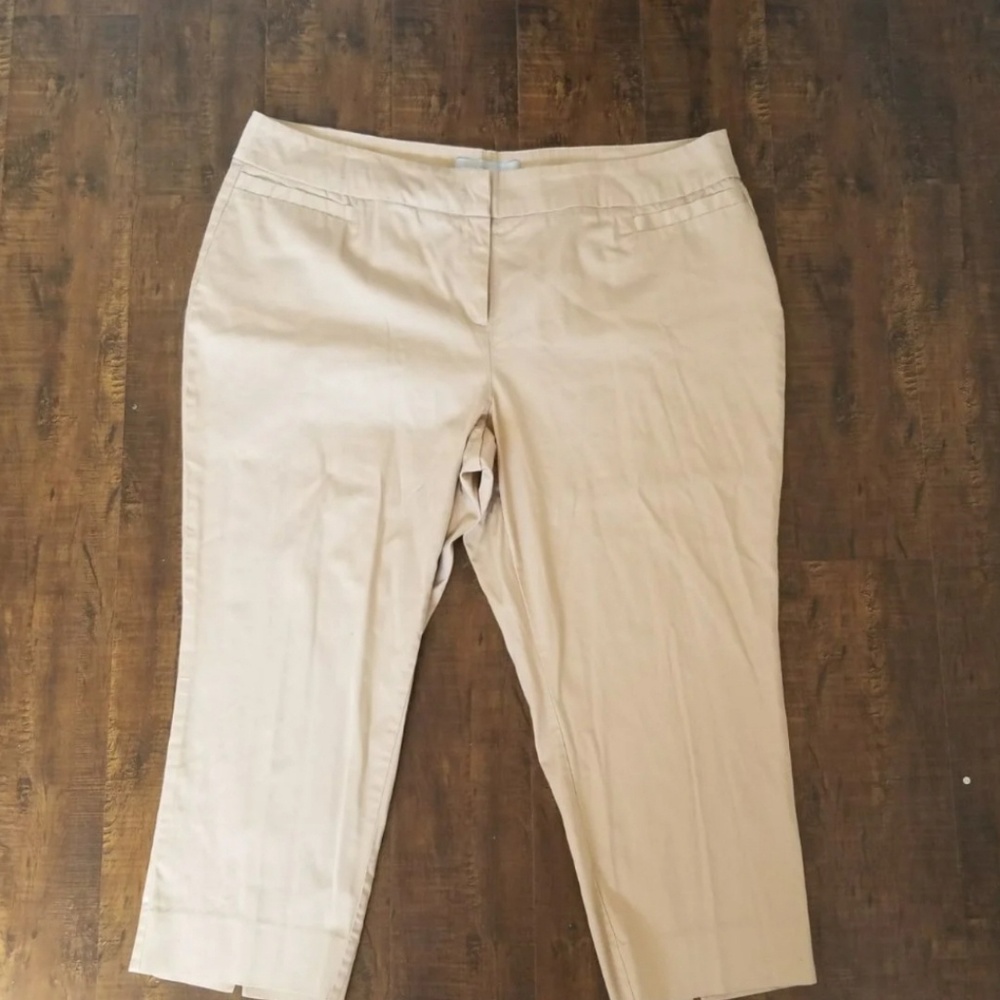 Avenue Studio Capri pants plus size 22
